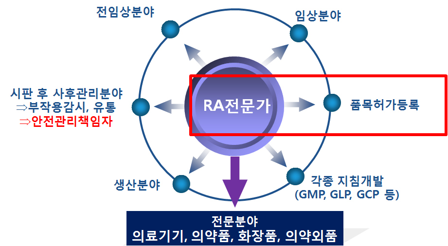 RA전문가 활동분야