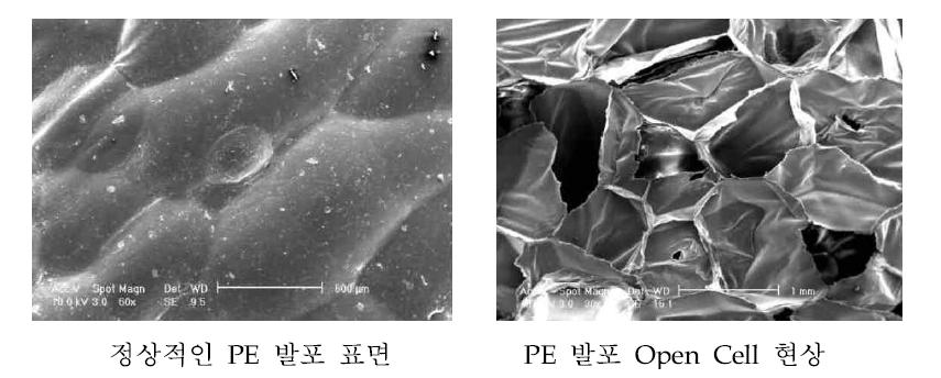 PE발포제의 표면과 Open-cell 현상