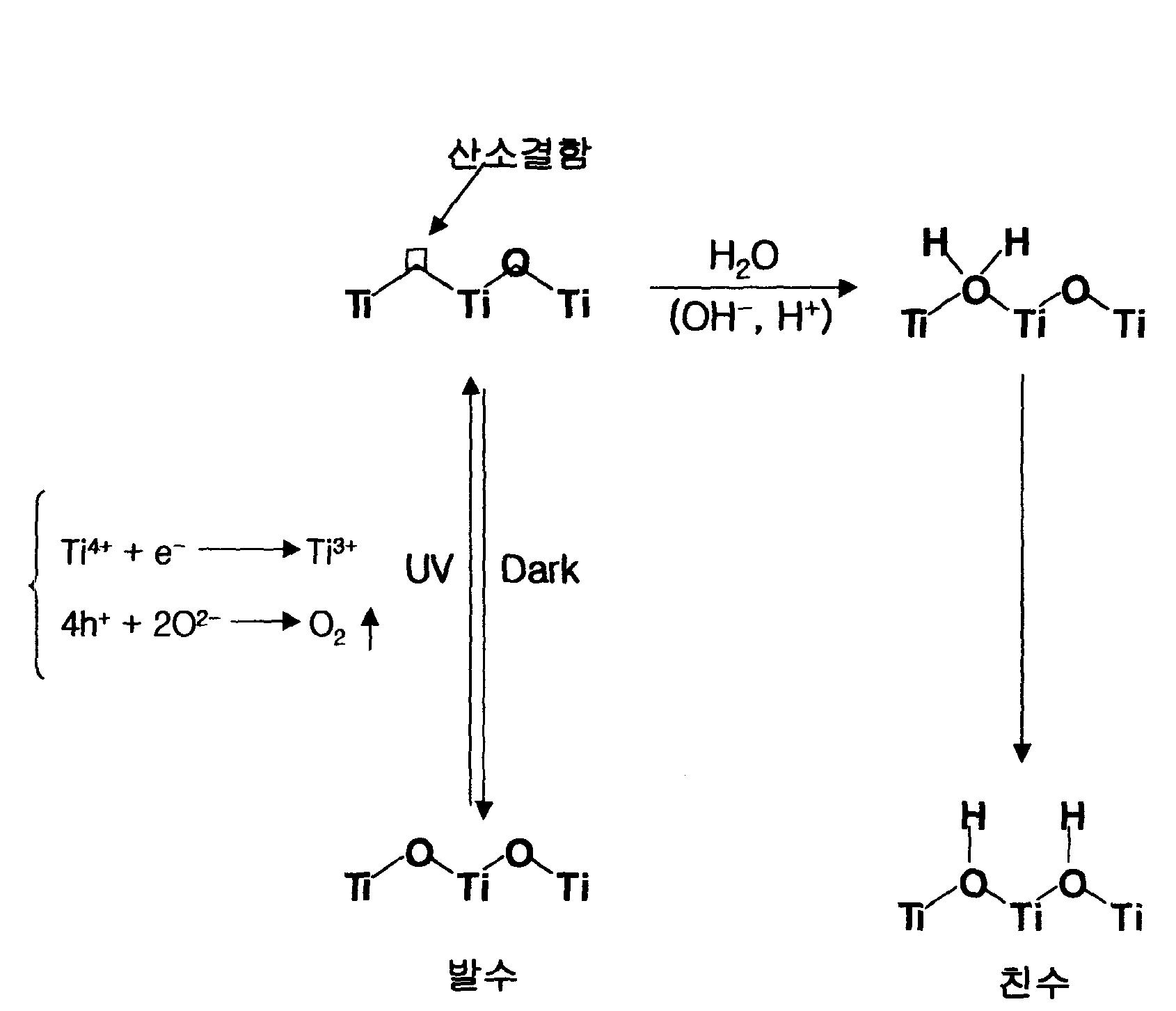 Mechanism of hydrophilic property