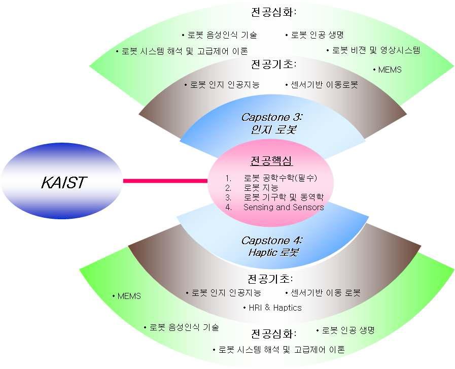 KAIST 교육과정(Capstone별) 편성도