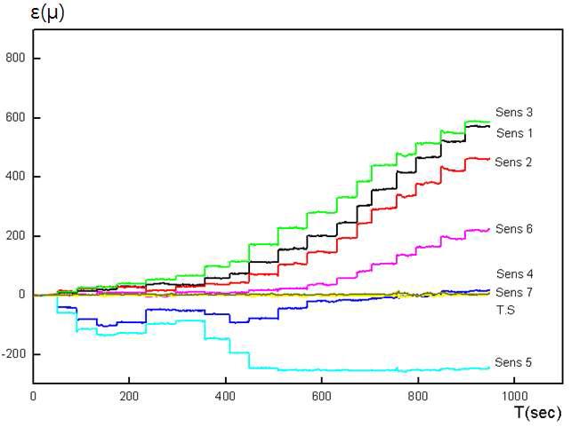 CH2 광섬유센서의 시간-변형률 관계