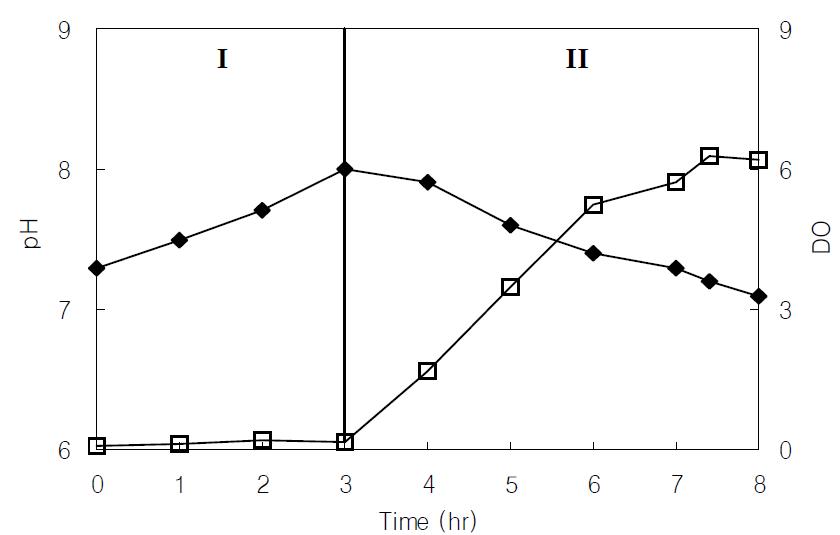 Profiles of pH and DO in the SBR1