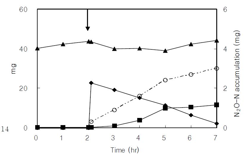 50 mg/L NH4+-N concentration profiles of the nitrification batch reactor