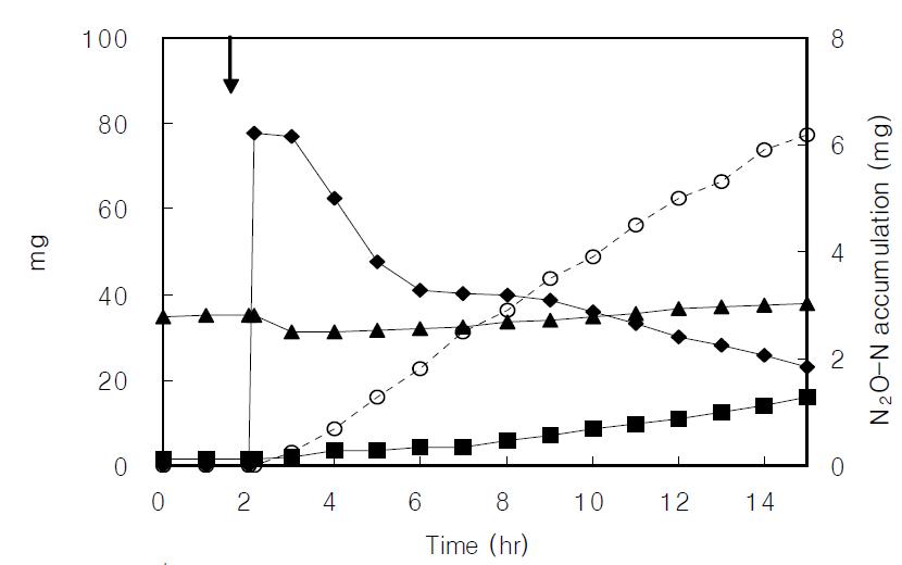 200 mg/L NH4+-N concentration profiles of the nitrification batch reactor