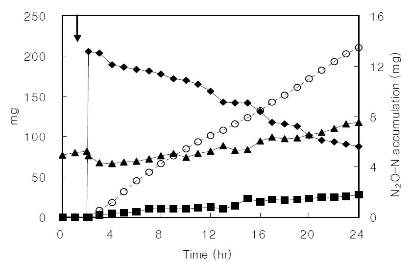 500 mg/L NH4+-N concentration profiles of the nitrification batch reactor