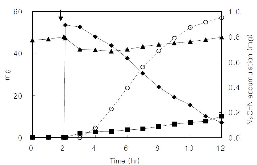 Concentration profiles of real wastewater in the nitrification batch reactor