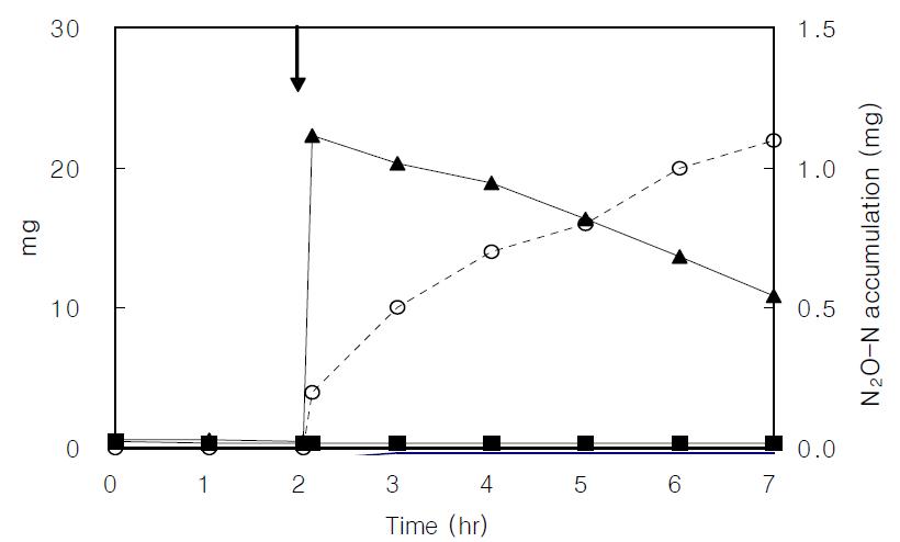 50 mg/L NO3-N concentration profiles of the denitrification batch reactor