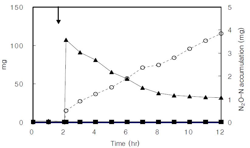 200 mg/L NO3-N concentration profiles of the denitrification batch reactor