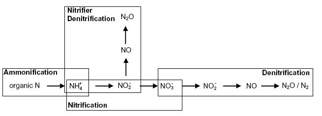 Nitrous oxide emission model from wastewater nitrification and denitrification
