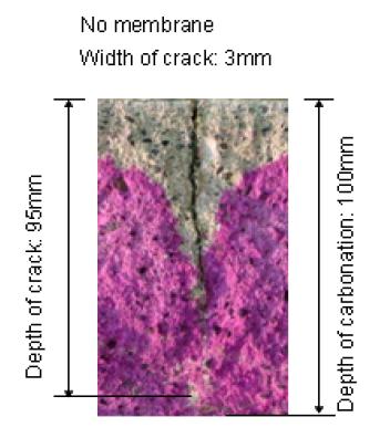 마감처리가 없는 균열부를 통한 탄산화 발생 상황