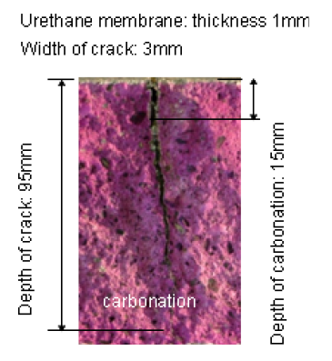 마감처리가 있는 균열부를 통한 탄산화 발생 상황