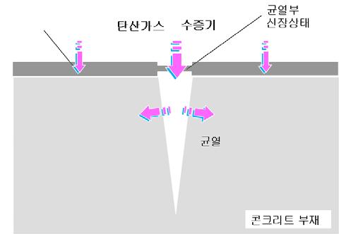 콘크리트 균열부의 탄산화 진행예측 모식도