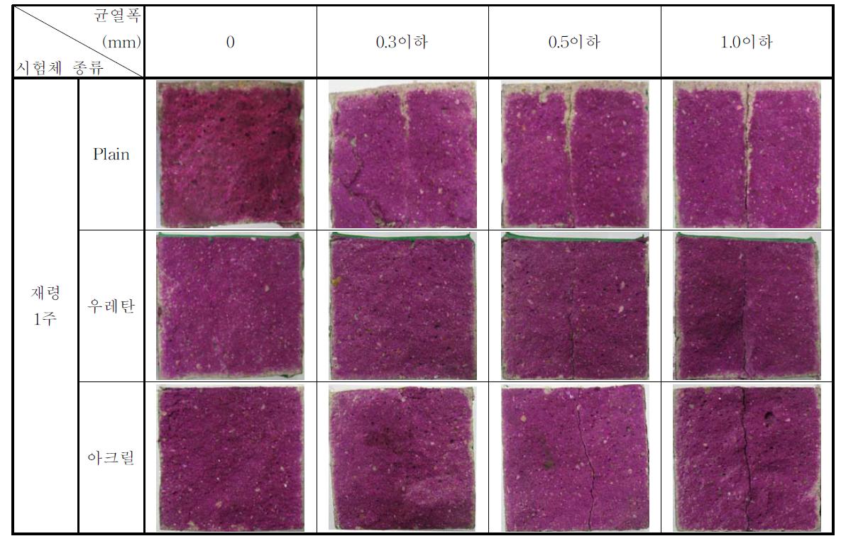 마감재의 종류 및 균열폭에 따른 탄산화 측정결과