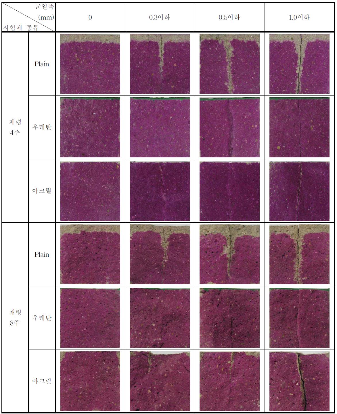 마감재의 종류 및 균열폭에 따른 탄산화 측정결과
