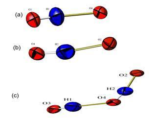 LDP 내의 두 가지 형태의 수소 결합(a) H1 과 관련된 수소 결합 (b) H2 와 관련된 수소 결합 (c) 두 개의 서로 다른 수소사이의 관계