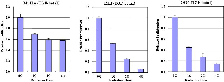 Mv1Lu, R1B, DR26 세포에서의 TGF-beta1 처리에 따른방사선에 의한 세포 성장 속도 비교 (MTT Assay)