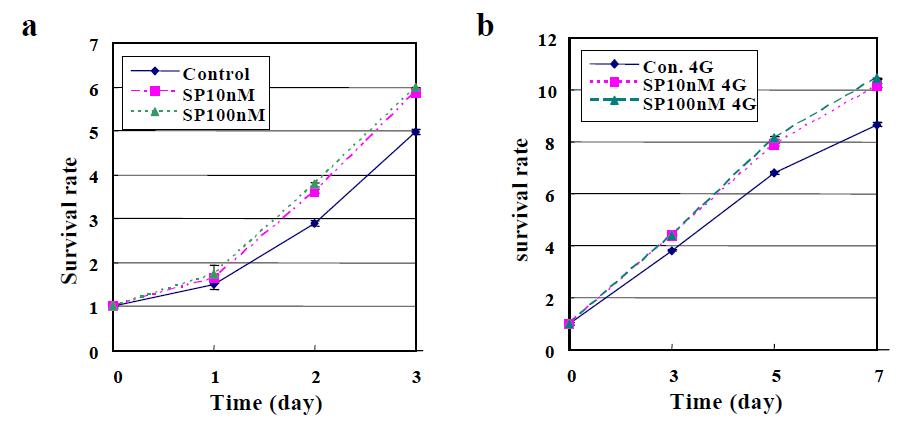 SP 처리에 따른 Caco-2 세포의 성장 증가