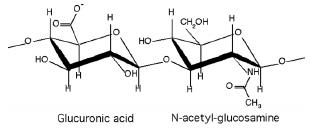 히알루론산의 분자 구조
