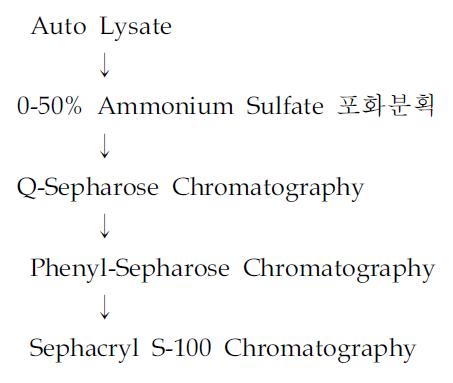 A. nidulans로부터 deacetylase 분리 Scheme