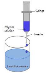 PLGA 미립자의 제조