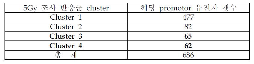 방사선 조사 후 24시간 때의 반응에 따른 cluster 1, 2, 3, 4에 속하는 promotor 상 CPG_ISLAND의 methylation 변화 유전자 개수