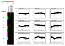 5mGy 방사선 조사 후 시간 (4hr, 24hr, 48hr, 72hr)에 따른 유전자 발현의 profiling [K means clustering (Euclidean method, Complete linkage) 방법 사용]