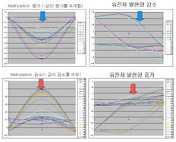 methylation 패턴 변화와 유전자 발현의 비교 분석 일부