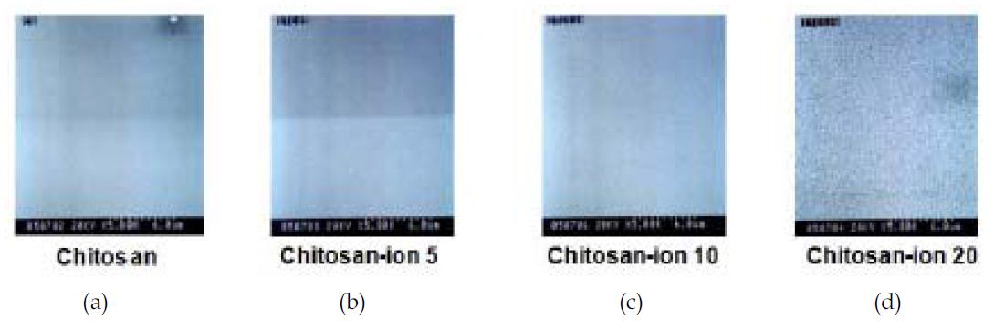 Air plasma 처리 한 후 Chitosan의 roughness 변화: modified chitosan 표면에서의 SEM 사진. a) Chitosan, b) 5min, c) 10min, d) 20min.