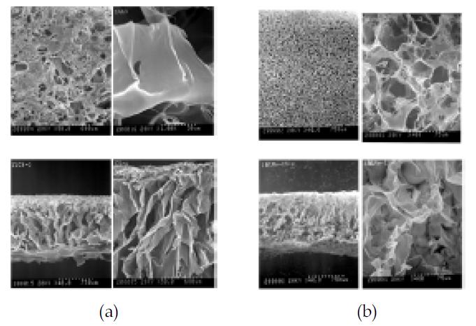 (a) 1% Chitosan scaffold SEM image, (b) 1% Chitosan+10% MeOH scaffold SEM image. 위; 표면 사진, 아래: 단면 사진