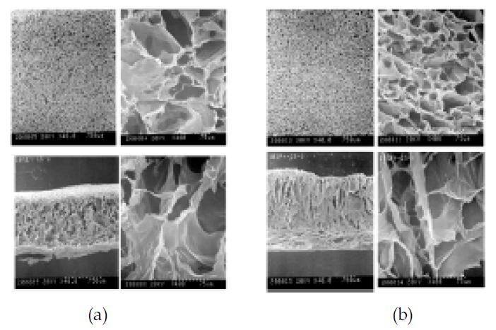 (a) 1% Chitosan+10% EtOH scaffold, (b) 1% Chitosan+10% Propanol, scaffold SEM image. 위; 표면 사진, 아래: 단면 사진