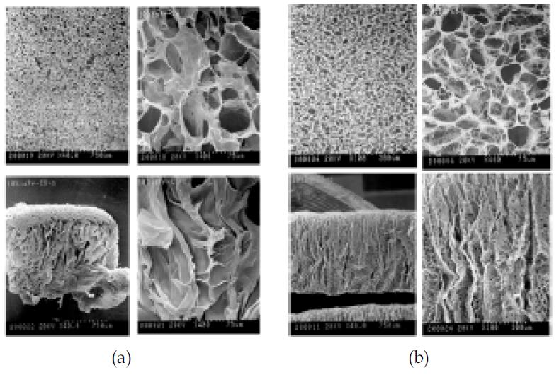 (a) 1% Chitosan+10% iso-Propanol scaffold, (b) 1% Chitosan+10% BuOH, scaffold SEM image. 위; 표면 사진, 아래: 단면 사진