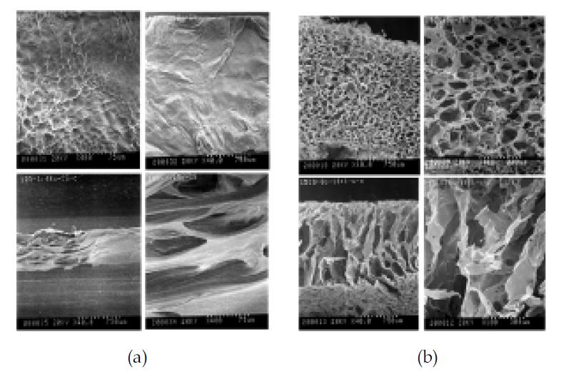 (a) 1% Chitosan+10% 1,4-Butandiol scaffold, (b) 1% Chitosan+10% Octanol scaffold SEM image. 위; 표면 사진, 아래: 단면 사진