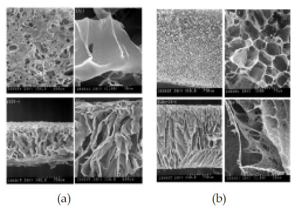 (a) 1% Chitosan, scaffold SEM image, (b) 1% Chitosan+5% Butanol, scaffold SEM image. 위; 표면 사진, 아래: 단면 사진