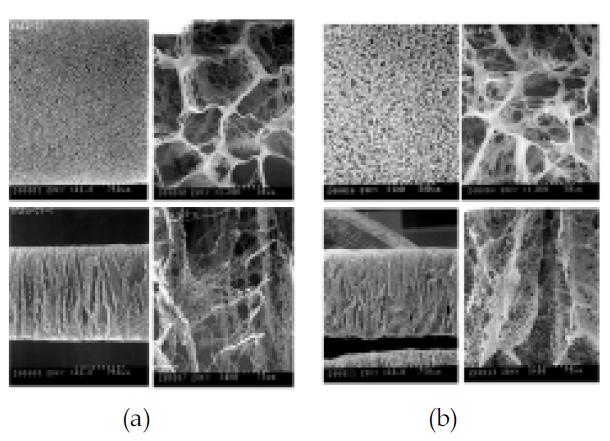 (a) 1% Chitosan+8% Butanol, scaffold SEM image, (b) 1% Chitosan+10% Butanol, scaffold SEM image. 위; 표면 사진, 아래: 단면 사진