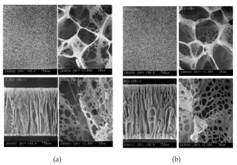 (a) 1.5% Chitosan+Butanol scaffold, (b) 2.0% Chitosan+Butanol, scaffold SEM image. 위; 표면 사진, 아래: 단면 사진