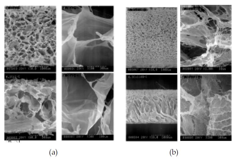 (a) 기존의 제조법을 따른 collagen scaffold, (b) collagen+Butanol, scaffold SEM image 위; 표면 사진, 아래: 단면 사진