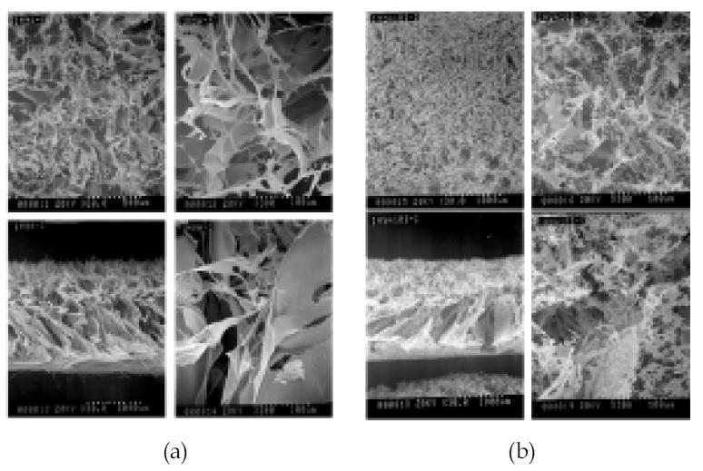 (a) 기존의 제조법을 따른 HyA scaffold image, (b) 1% HyA+Butanol, scaffold SEM image. 위; 표면 사진, 아래: 단면 사진