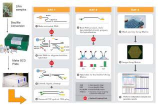 방사선에 의한 DNA methylation 정도를 detection하기 위한 실험 수행 방법