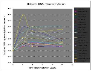 500mGy의 137Cs 감마 방사선 조사 후 10일동안 방사선조사 효과로 발생한 DNA hypermethylation이 계속 유지되는 유전자들