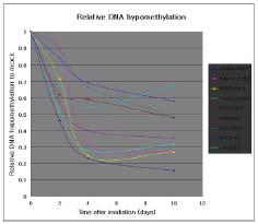 500mGy의 137Cs 감마 방사선 조사 후 시간에 따른 방사선조사 효과로 발생한 DNA hypomethylation이 유지되는 유전자들