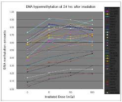 500mGy의 137Cs 감마 방사선 조사 후 24시간 때의 방사선 dose에 따른 hypermethylation 정도 변화