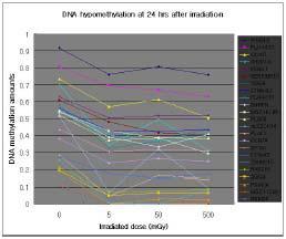 500mGy의 137Cs 감마 방사선 조사 후 24시간 때의 방사선 dose에 따른 hypomethylation 정도 변화