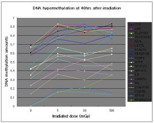 500mGy의 137Cs 감마 방사선 조사 후 48시간 때의 방사선 dose에 따른 hypermethylation 정도 변화