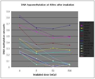 500mGy의 137Cs 감마 방사선 조사 후 48시간 때의 방사선 dose에 따른 hypomethylation 정도 변화