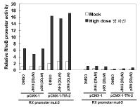 TfA-2에 의한 방사선 유도 RX promoter activity의 변화효과 연구