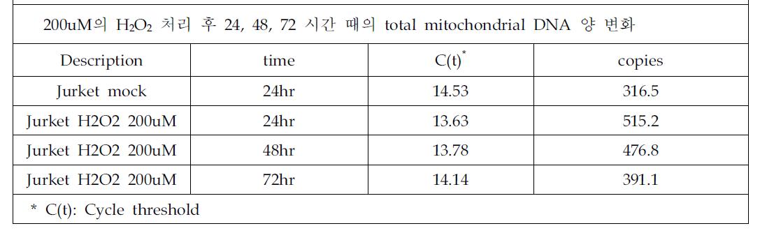 Jurket cell에 H2O2를 200uM의 농도로 처리한 후 24, 48, 72 시간 때의 total mitochondrial DNA 양 변화