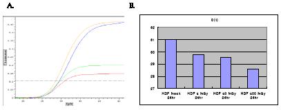 Human primary diploid fibroblast (passage 16)에 mock, 5, 50, 500 mGy의 137Cs 감마 방사선을 처리 한 후 24 시간 때의 mitochondrial DNA deletion 변 화. (A) Real time PCR 결과, (B) Cycle threshold (C(t))변화