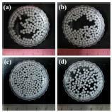 균일하게 제조된 키토산 비드형 지지체의 사진; 1% 키토산 (a, c), 1% 키토산-10% 부탄올(b, d); cooling media: 액체질소(-196℃) (a, b), 디클로로메탄(-70℃) (c, d).