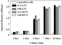 MTT assay (CCK-8); 키토산 비드형 지지체의생체외 연골세포의 부착 및 증식 실험 (values are average ± standard deviation for n = 4).