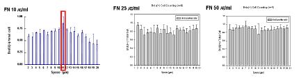 Fibronectin 농도에 따른 HDFs의 BrdU positive cells.